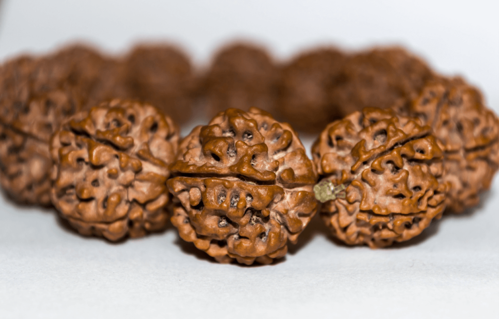 Import or Export Nepali Rudraksha