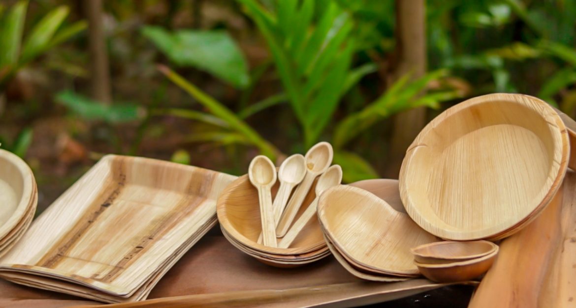 Areca Leaf Plates-Disposable