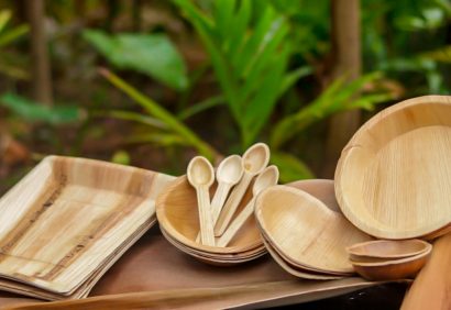 Areca Leaf Plates-Disposable