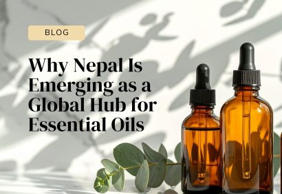 Why Nepal Is Emerging as a Global Hub for Essential Oils