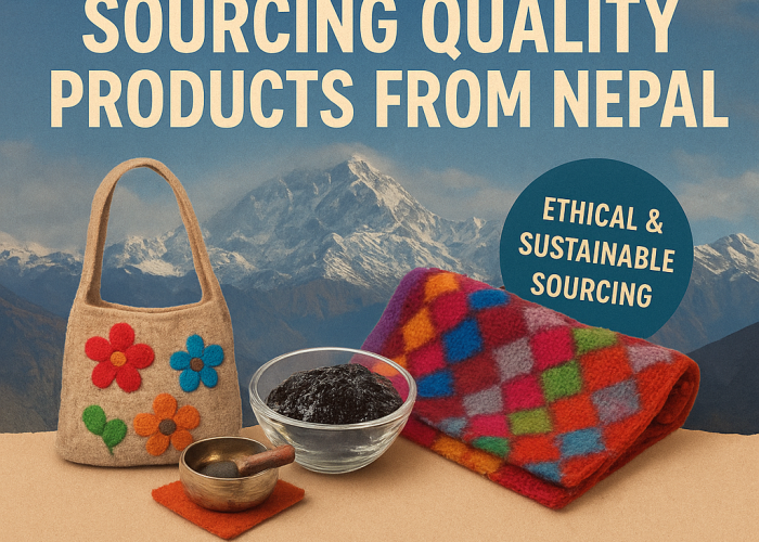 09d0fe21-cf66-4c95-930a-04f7c10de935-2