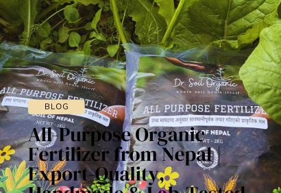 Featured Business News Article Instagram Post-6