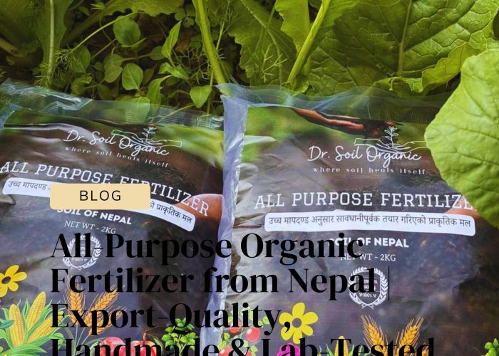 Featured Business News Article Instagram Post-6