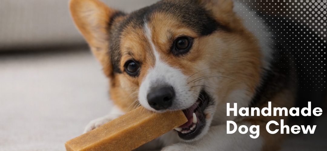 Untitled design 2 1 scaled e1765950017313