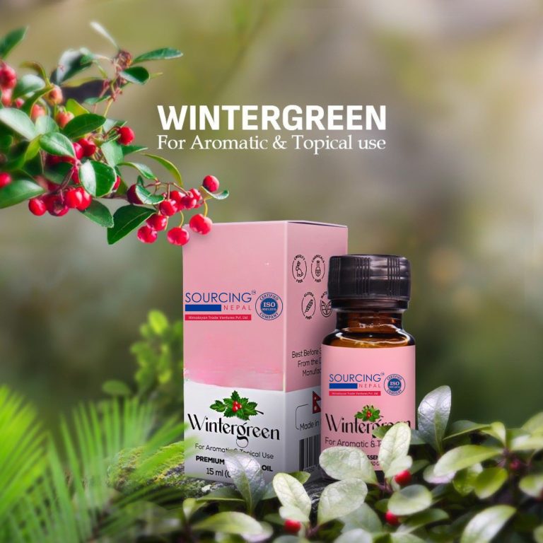 German Chamomile (2)