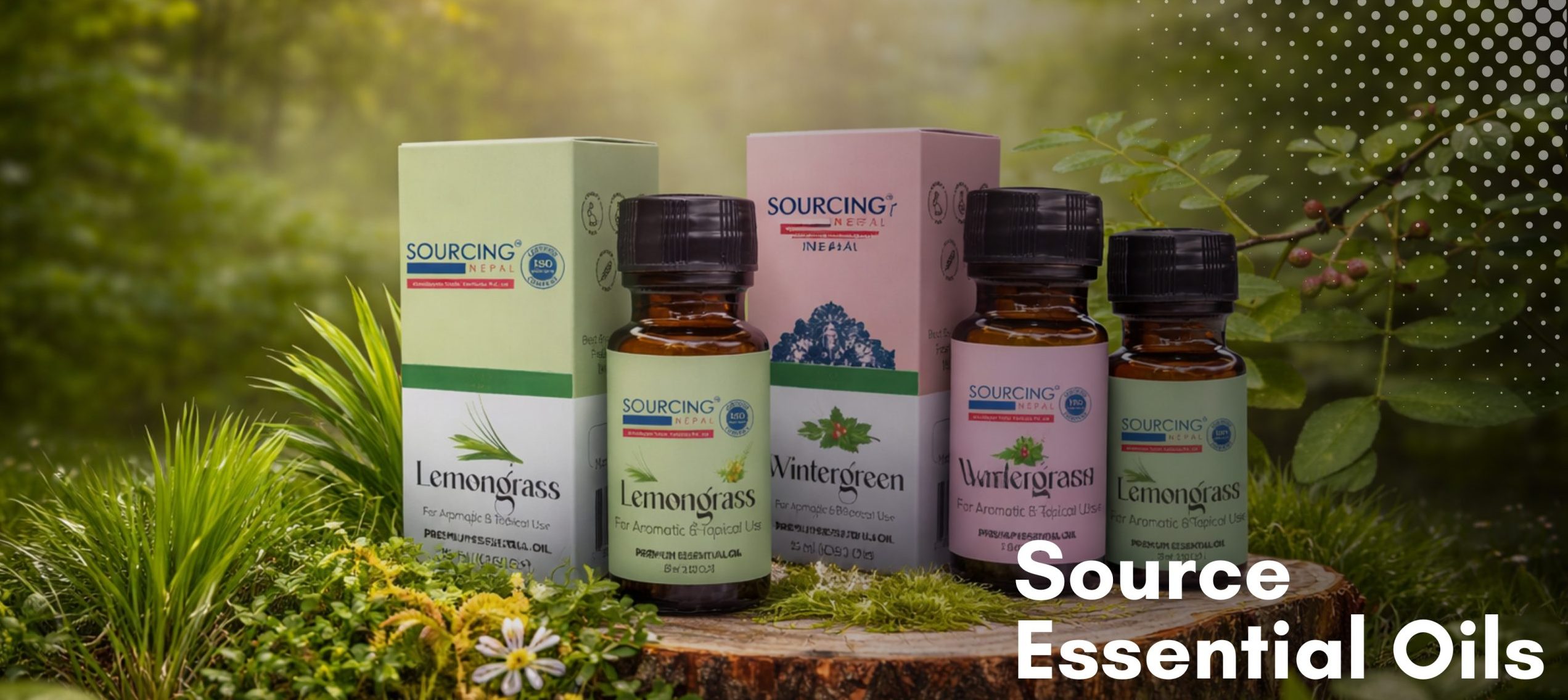 Collection of natural essential oils from Sourcing Nepal including lemongrass and wintergreen displayed in a forest setting with soft sunlight