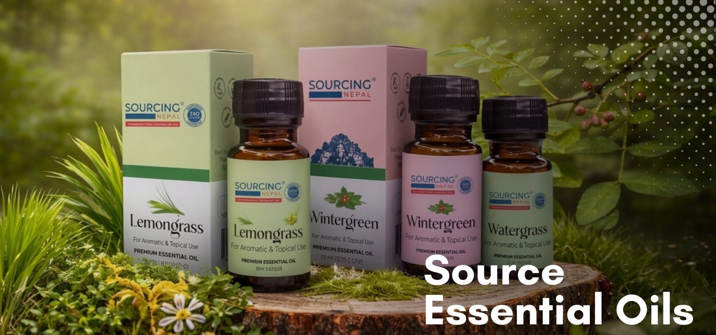 Collection of natural essential oils from Sourcing Nepal including lemongrass and wintergreen displayed in a forest setting with soft sunlight