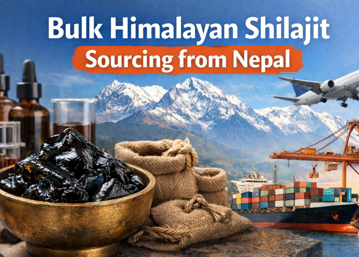 Bulk Himalayan Shilajit sourcing from Nepal for export