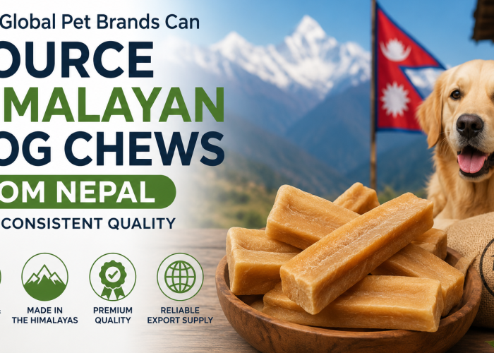Premium Himalayan dog chews sourcing from Nepal for global pet brands