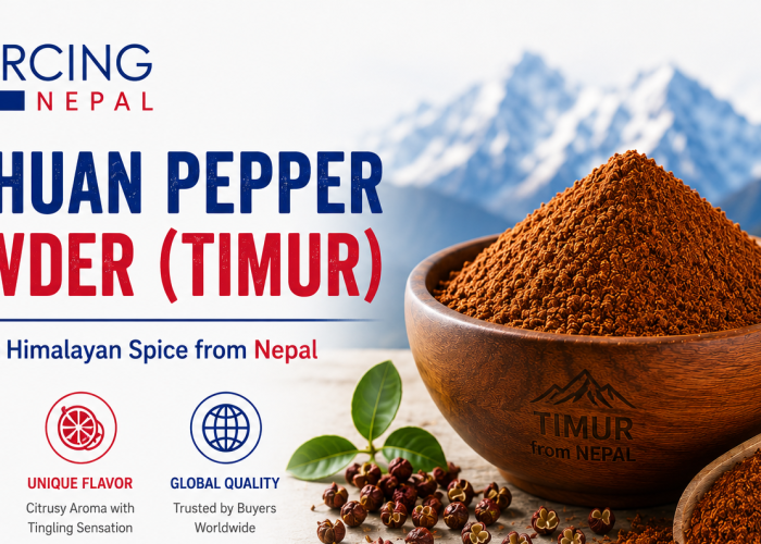 Premium Sichuan Pepper Powder sourced from Nepal for global spice buyers