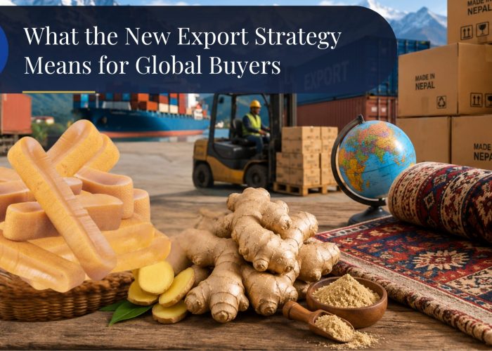 What the New Export Strategy Means for Global Buyers What the New Export Strategy Means for Global Buyers