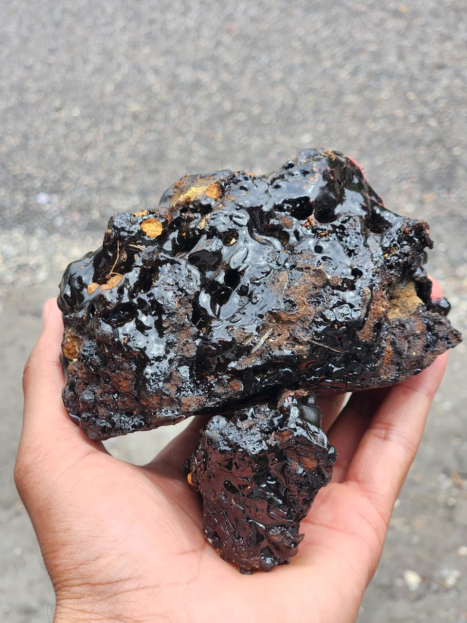 Raw Himalayan Shilajit resin hand-harvested in Nepal